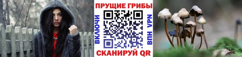 продажа наркотиков  Елабуга  Псилоцибиновые грибы мухоморы 